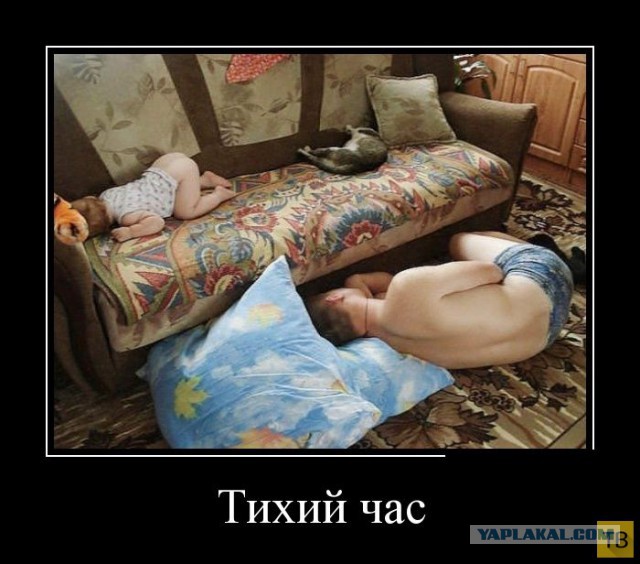 Весёлое из сети