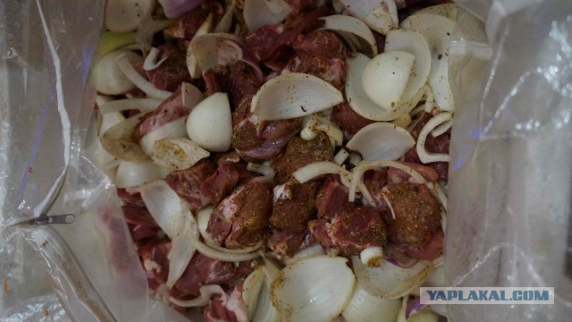 Вкусное обаяние Кулинарии, Повара ЯПа поздравляют милых дам!