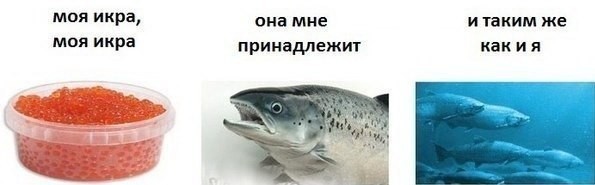 Моя икра)))