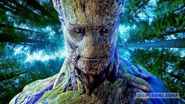 Кто какая нечисть по знаку зодиака