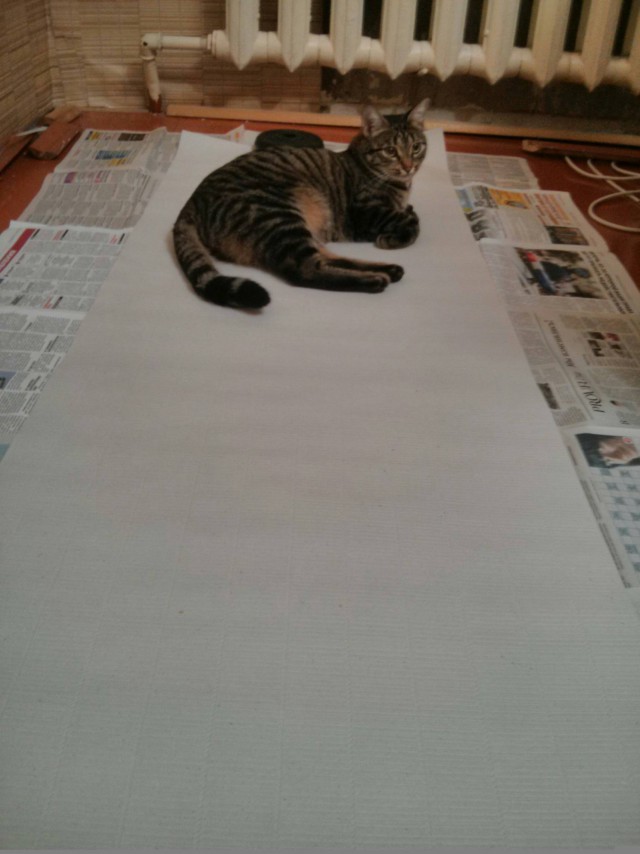 Котовторник 03.11.2015