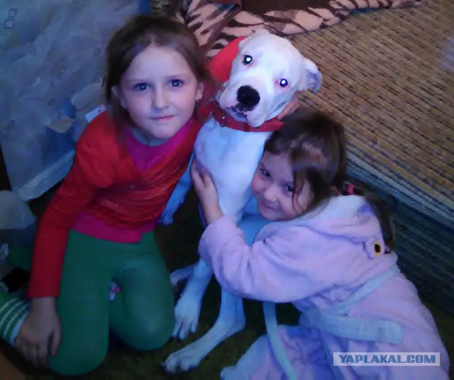 Моменты, заставляющие меня верить в человечество...