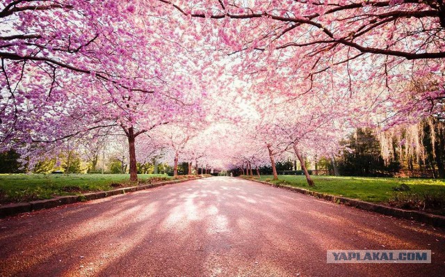 Подборка смешных, не очень и просто красивых фотографий. Часть 2