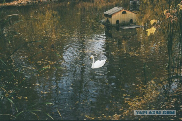 Подборка "тёплых, уютных, домашних" фотографий