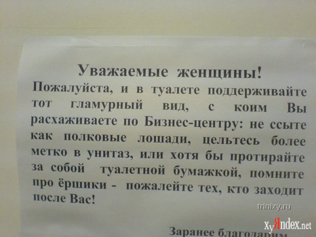 Записки из офисных будней