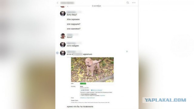 Живодёрка летит в Хабаровск под конвоем