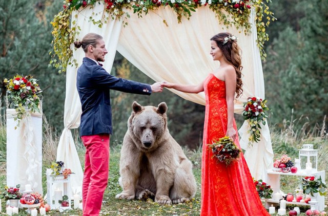 Типичная свадьба по-русски: церемонию бракосочетания провел медведь