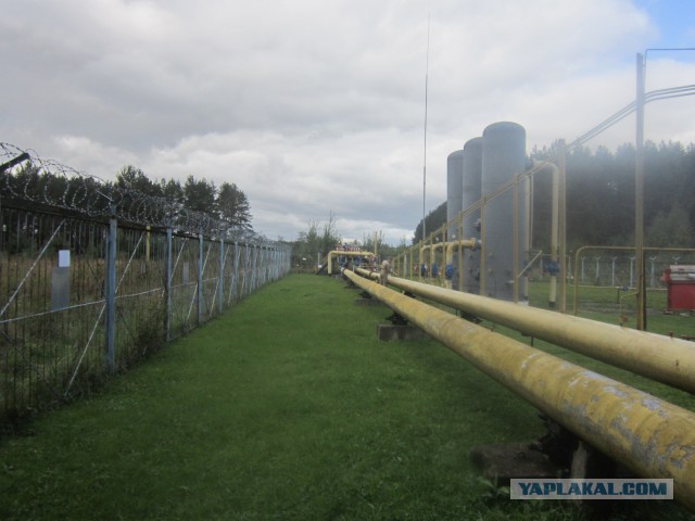 Стоп газ