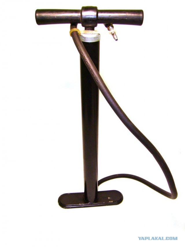 Петербуржец пришел в автосалон со львенком и купил Rolls-Royce за 40 миллионов