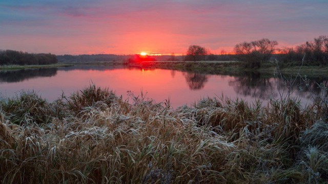 Моменты, запечатлённые на фото и просто позитив 5