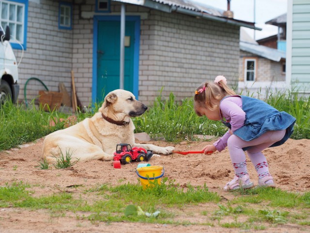 Девкино. Продолжение фотоподборки.
