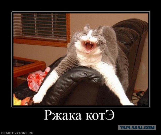 В мире животных