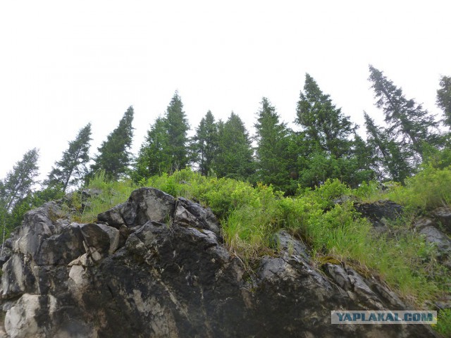 Лично мне не нужен берег турецкий