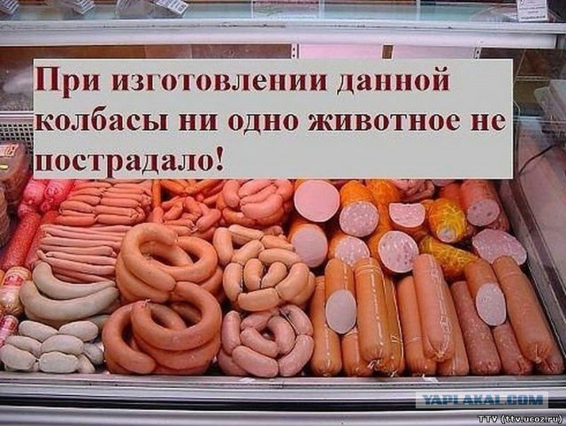Почему в современной России колбаса стоит дешевле кошачьего корма?