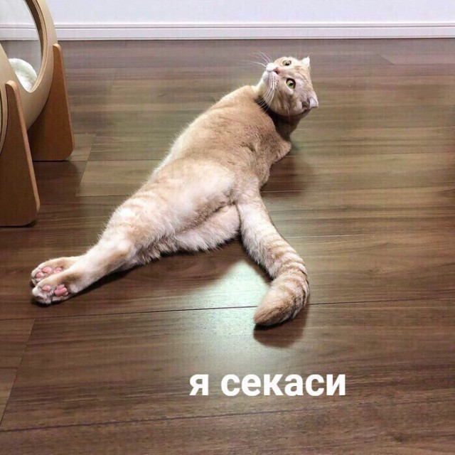 Итоги проверки пользователей