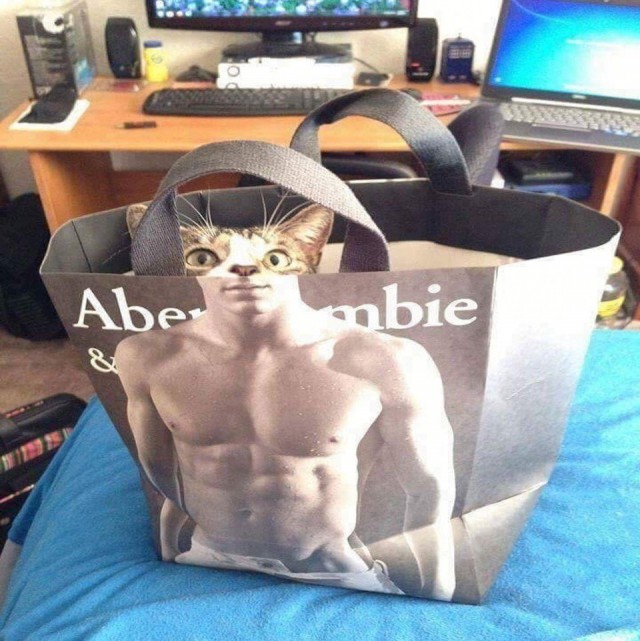 Немного милоты