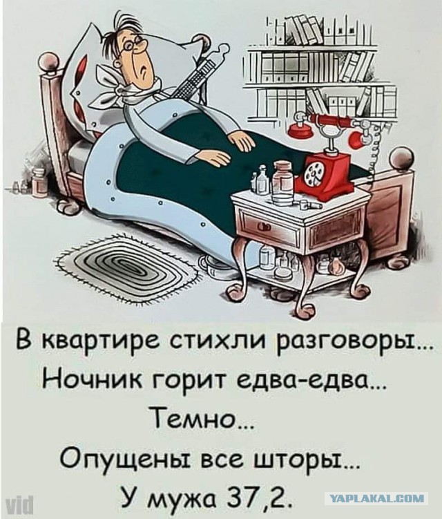 Картинки с надписями, соц-сети и анекдоты на субботу