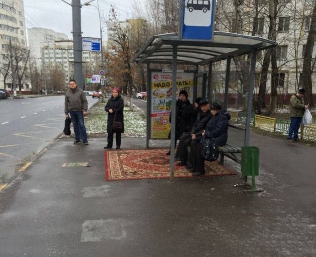 И всё-таки она наша. Лента картинок