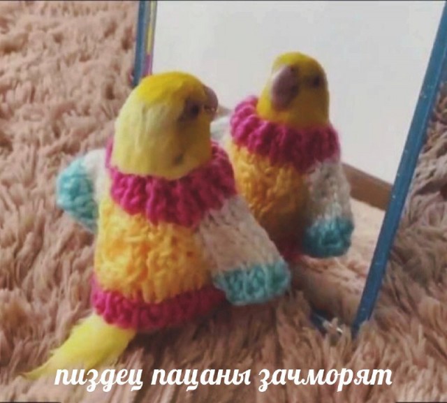 Немного картинок на вечер 21.07.2019