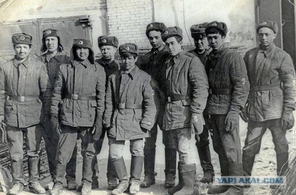 Солдатские бунты в СССР, 1955 год