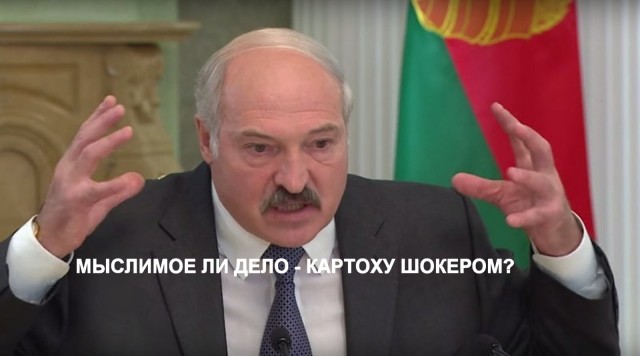 10 нелепых мифов, в которые многие верят благодаря фильмам