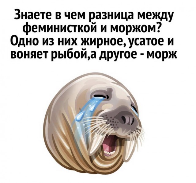 Забавные шутки, картинки и фразы из этих ваших интернетов