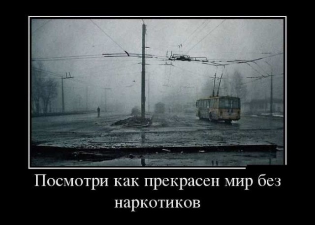 В сети появилось видео пути, которым ходила в школу убитая в Саратове девочка. Гаражи, подворотни без фонарей и просто лабиринт