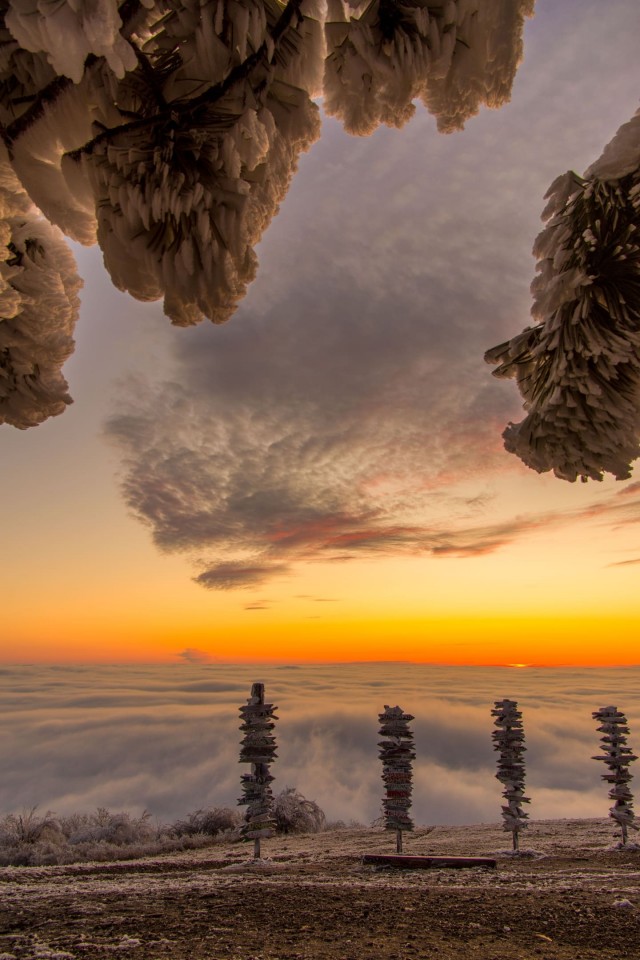 Конкурс рассказов "Страшные сны / Побег" - Голосование