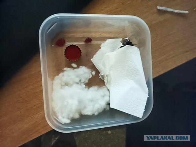 Добрый доктор Айболит
