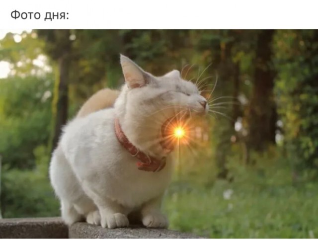 Как выглядит рассвет на разных планетах солнечной системы