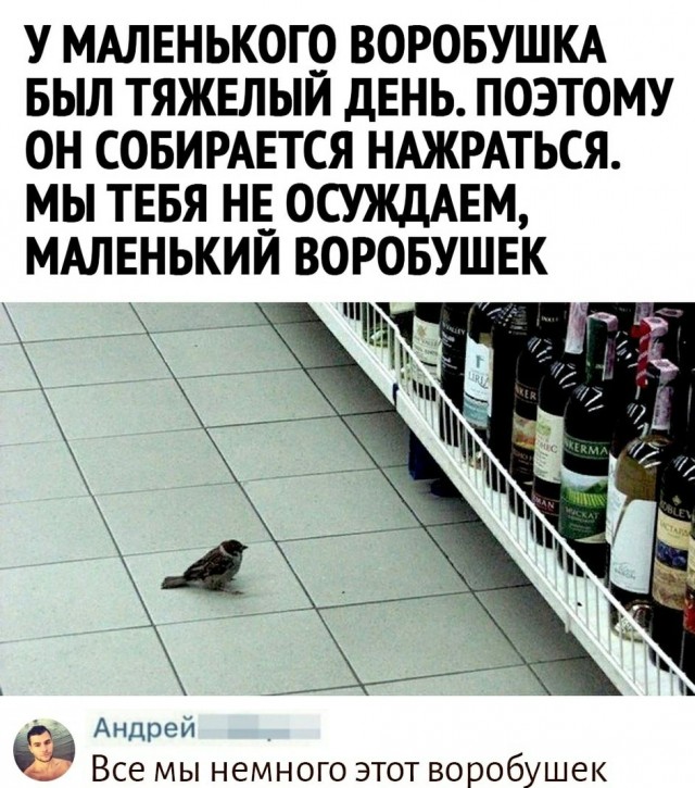 Юмор в картинках 30.08.20