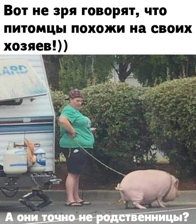 Картинки разные