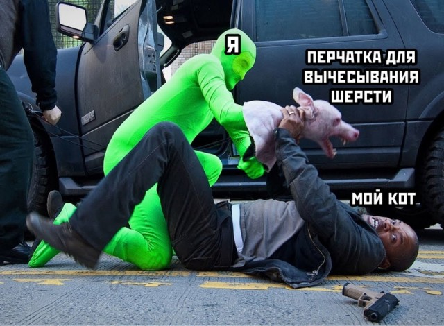 Весёлый полтишок 5.04