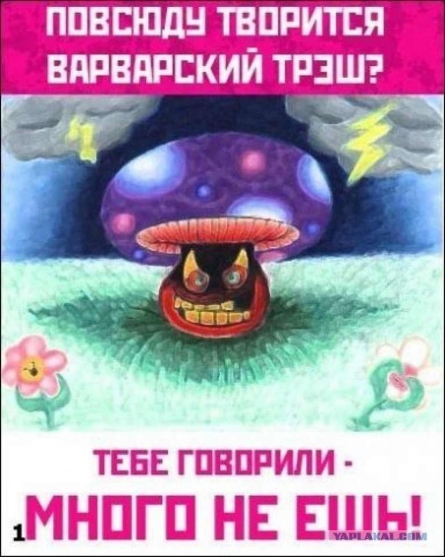 Бутиратчик из Череповца