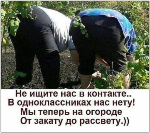 Картинки и мемы для настроения 30.04.21