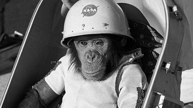 Актриса Юлия Пересильд полетит в космос