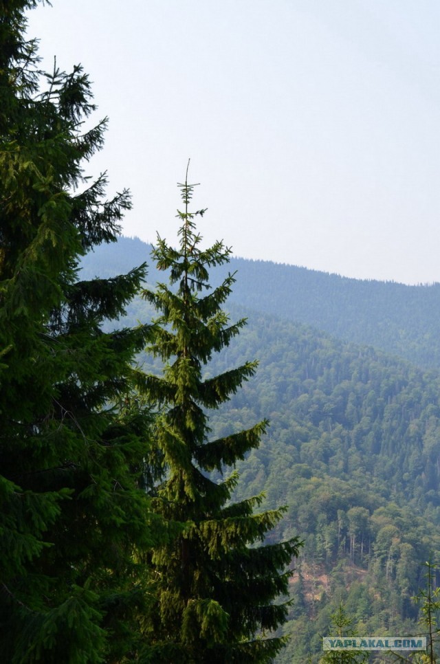 Путешествие по Румынии с семьёй на автомобиле