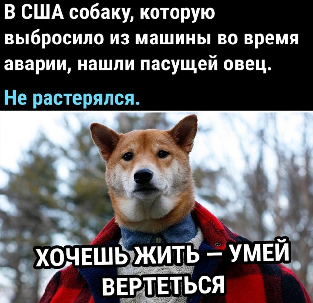 Кретинизмы из сети 20.07.21
