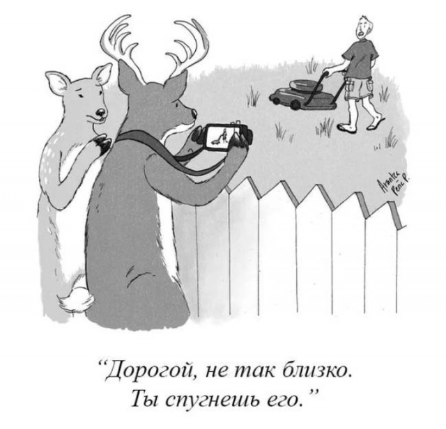 Йумористические картинки 12.08.2021