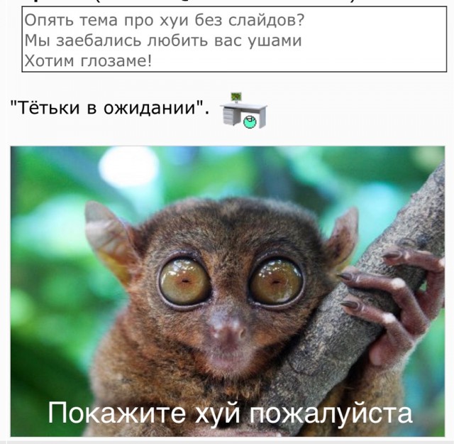 Почему размер пениса неважен