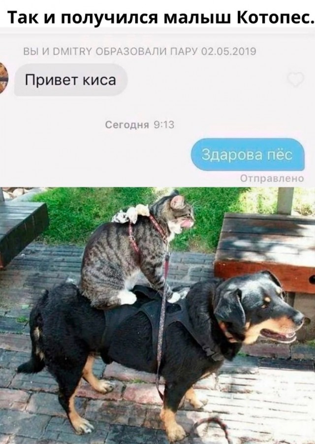 Так себе картинки 24.09.21
