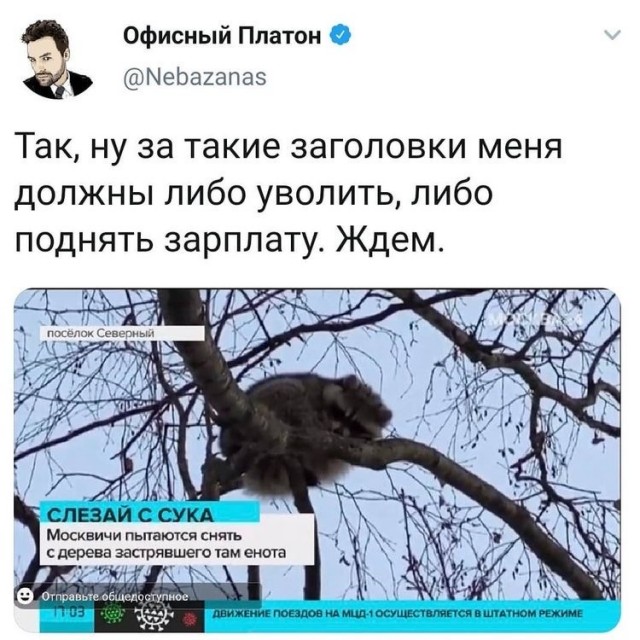 Так себе картинки 28.10.21