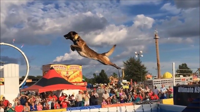 Милая девушка