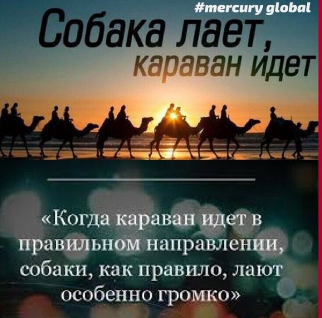 Зеле подвезли наркотиков потяжелее