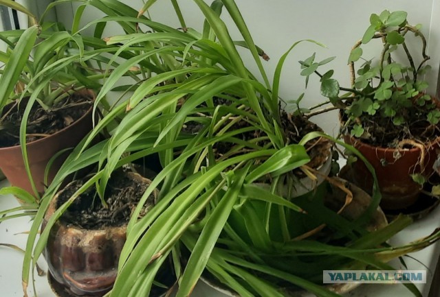 Короткие истории и случаи из жизни 26.03.22