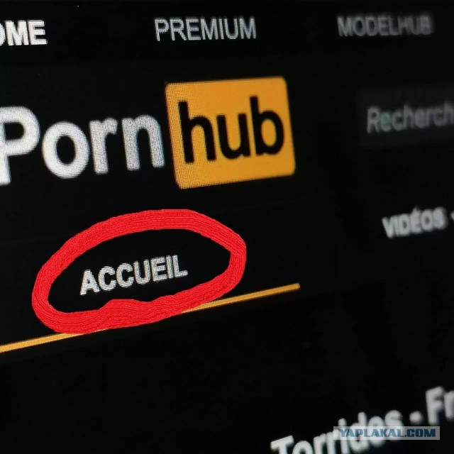 Pornhub уволил единственного сотрудника в России, он вёл паблик в «ВК» и занимался рекламой