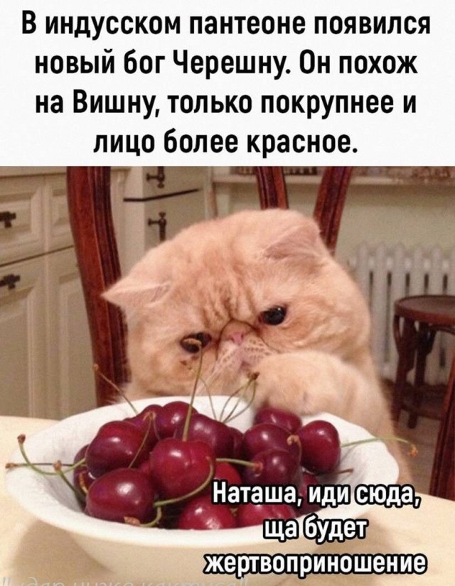 Так себе картинки 18.06.22