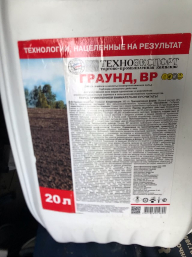 Борщевик