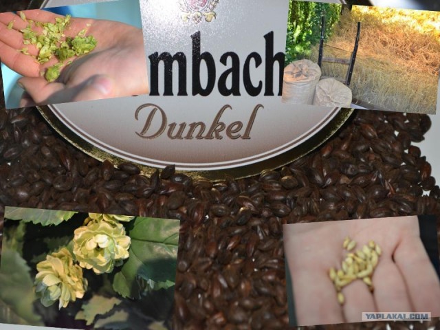 Как я буржуев спасал