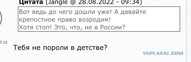 В г. Кассвилл штата Миссури восстановили телесные наказания в школах